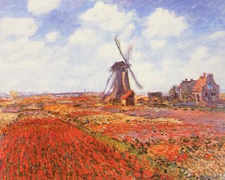 Claude Monet Tulip Fields with Windmill oil painting image